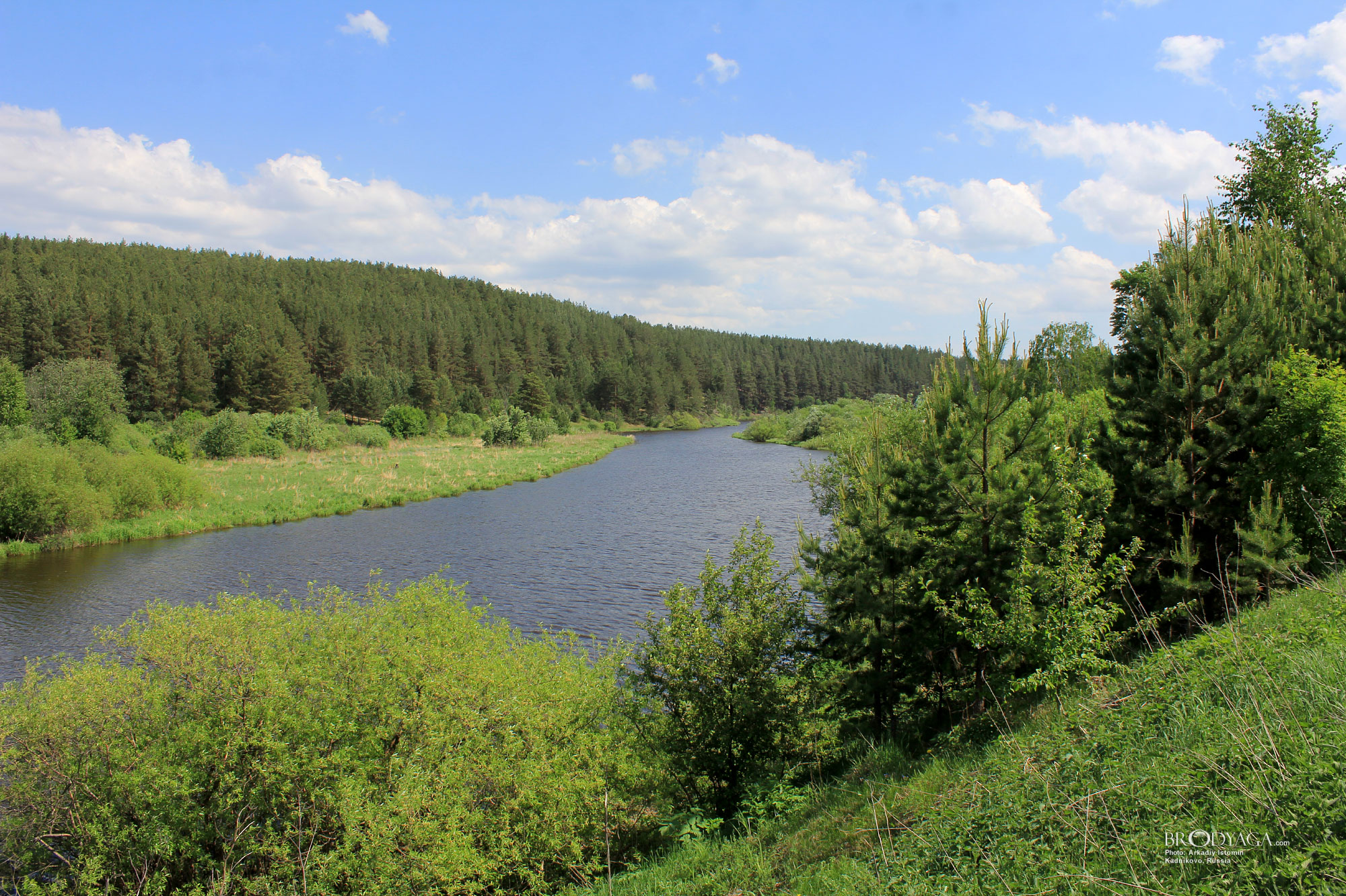 Kadnikovo (Кадниково)